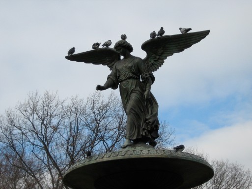 New-York- au dessus des anges, les pigeons